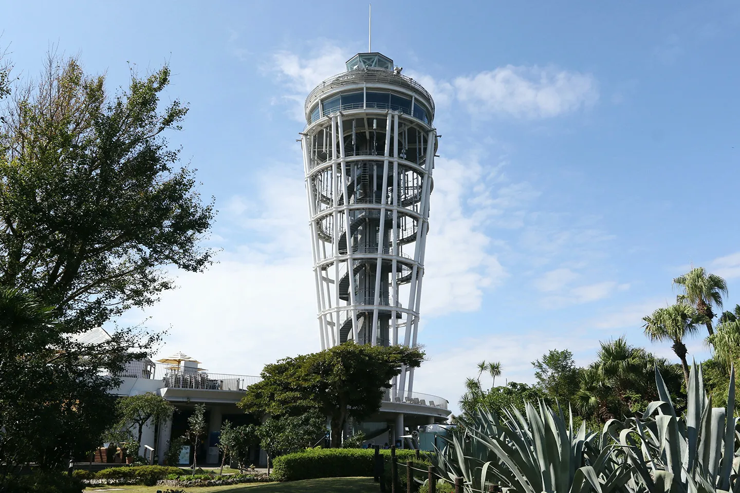 Enoshima Sea Candle
