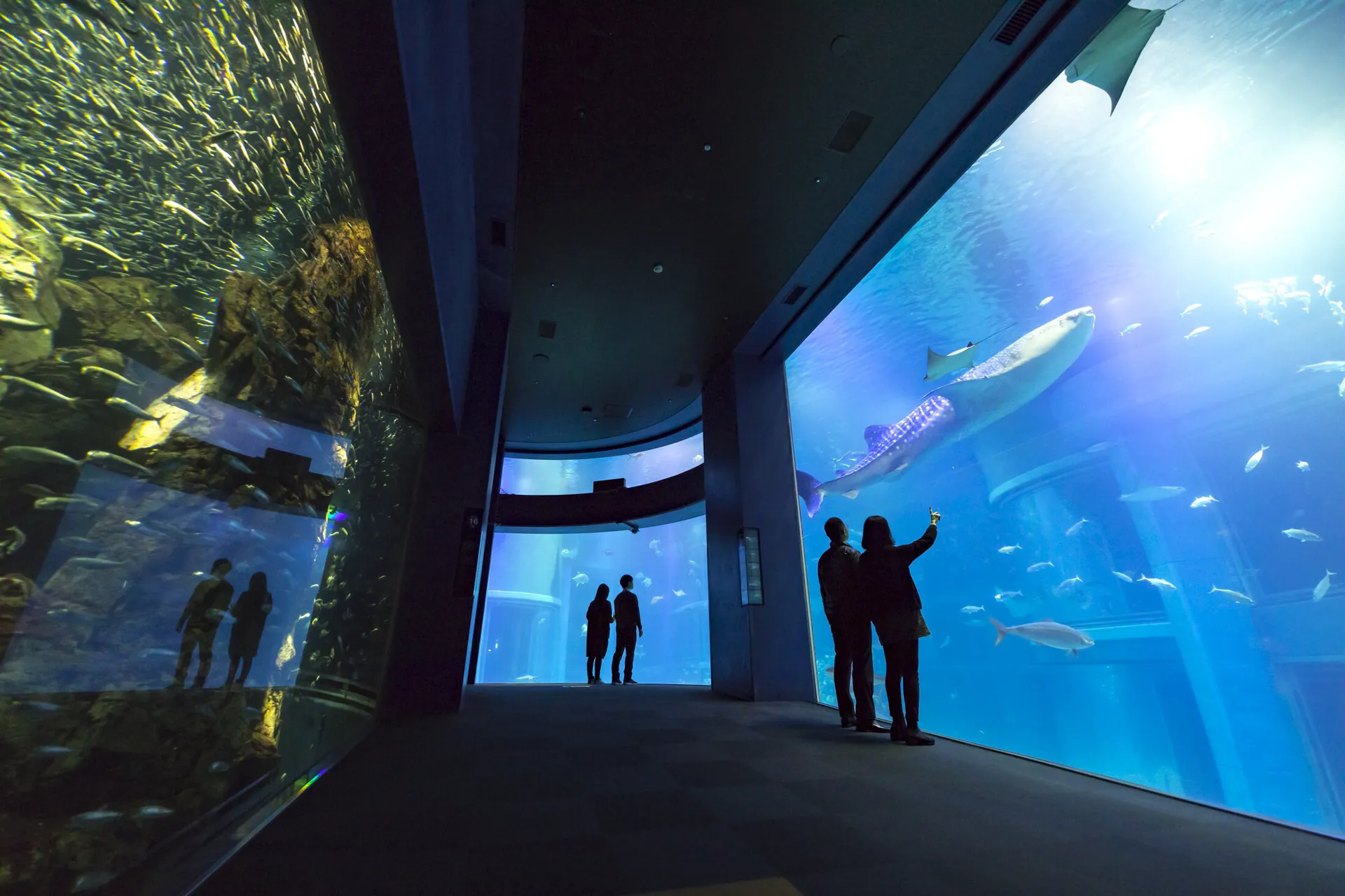 Osaka Aquarium Kaiyukan