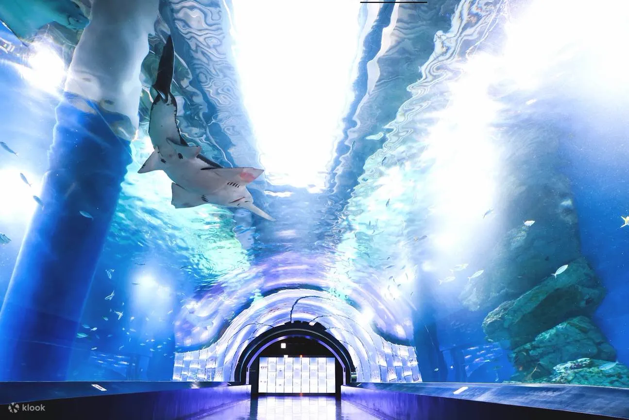 Maxell Aqua Park Shinagawa