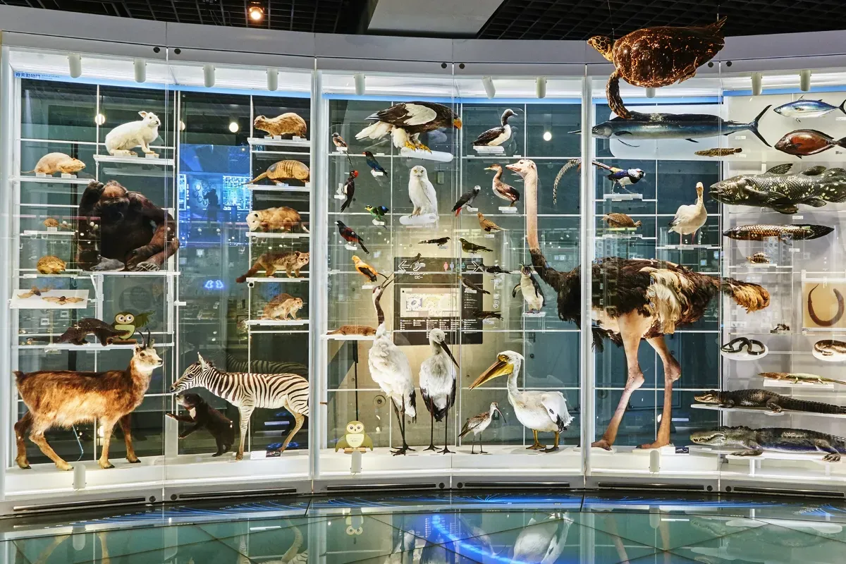 National Museum of Nature and Science