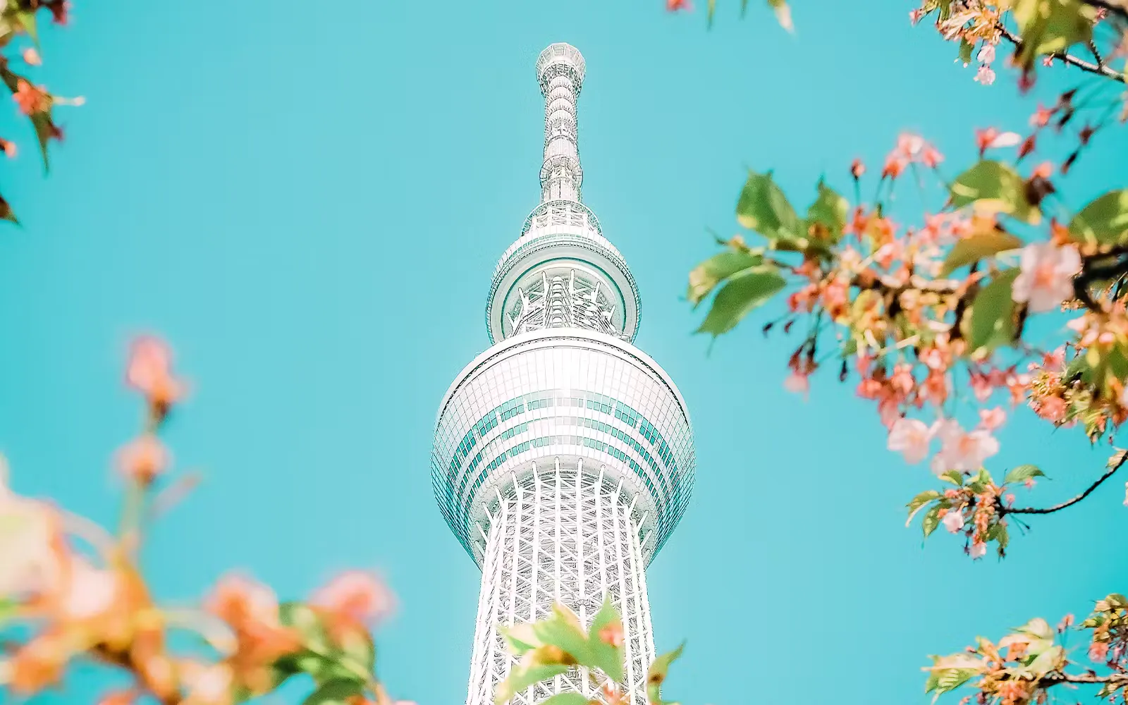 Tokyo Skytree