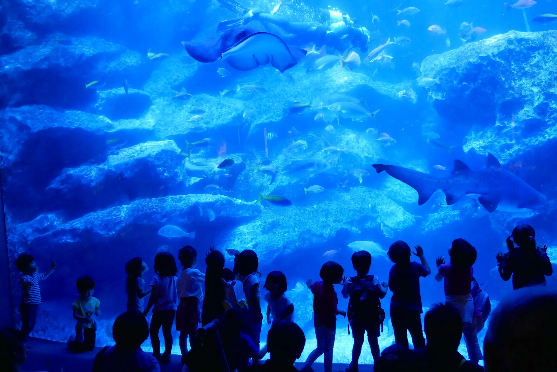 Sumida Aquarium